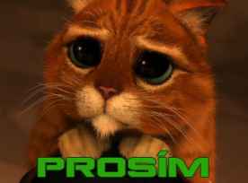 prosim.jpg