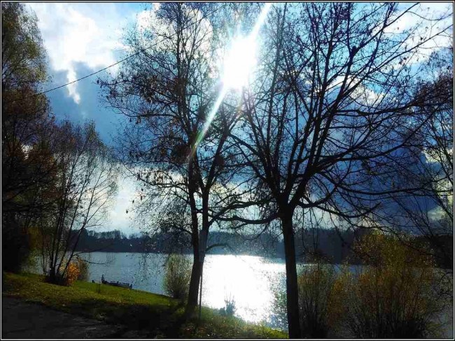 IMG_20161107_125443 [1280x768].jpg